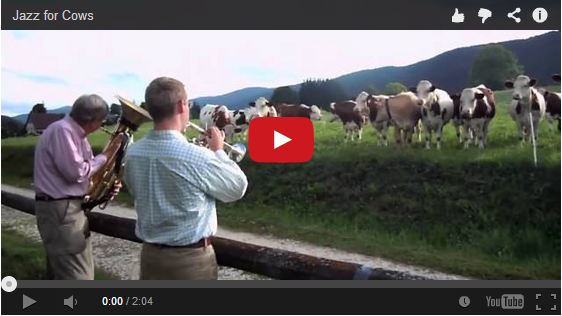 They pulled over to play jazz for the cows.